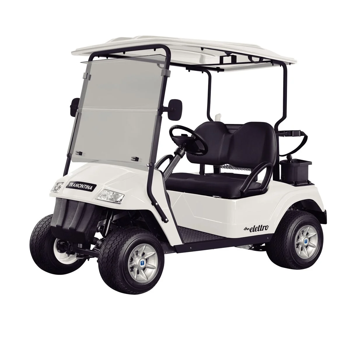 Carrinho de Golfe