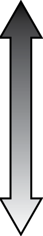 8. Página 8